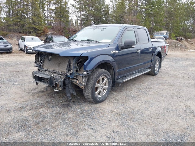Продажа на аукционе авто 2019 Ford F-150 Xlt, vin: 1FTEW1EP4KKD86445, номер лота: 12605002