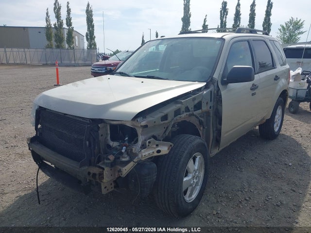 12620045 :رقم المزاد ، 1FMCU9D79AKC02558 vin ، 2010 Ford Escape Xlt Automatic مزاد بيع