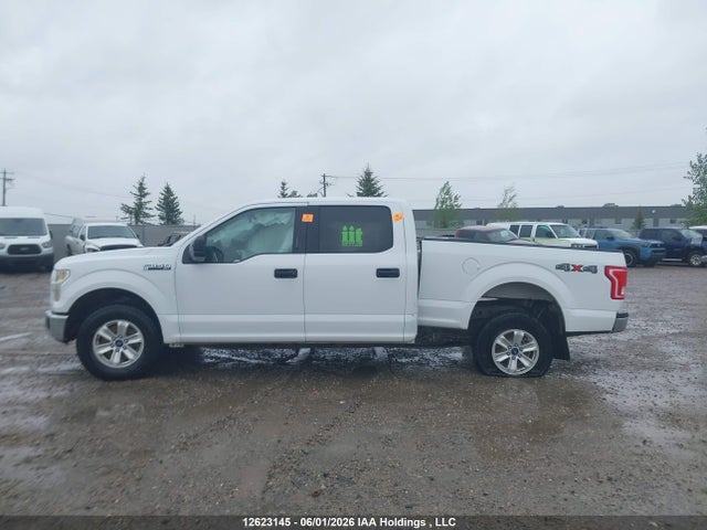Ford F-150 Xlt 2015 1FTFW1EF6FFA82415 Image 14