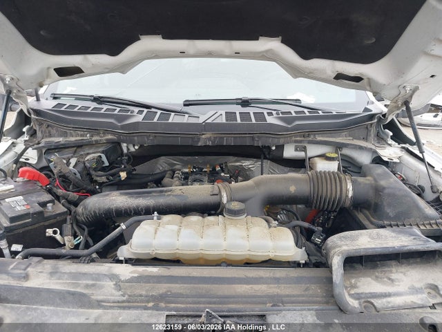 Ford F-150 Xlt 2024 1FTFW3L81RKD08016 Image 10