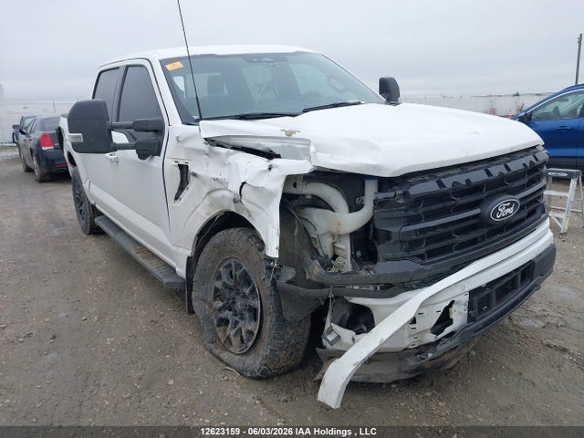 Ford F-150 Xlt 2024 1FTFW3L81RKD08016 Image 6