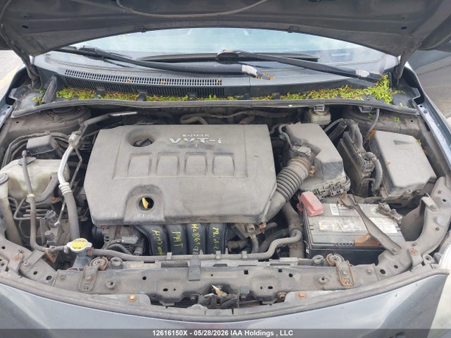 Продаж на аукціоні авто 2009 Toyota Corolla S, vin: 2T1BU40E99C098576, номер лоту: 12616150