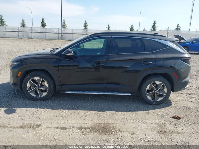 Продаж на аукціоні авто 2025 Hyundai Tucson Sel, vin: 5NMJCCDE9SH454219, номер лоту: 12623273