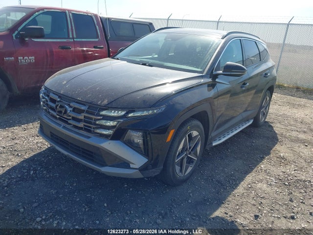 Продаж на аукціоні авто 2025 Hyundai Tucson Sel, vin: 5NMJCCDE9SH454219, номер лоту: 12623273