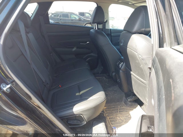 Продаж на аукціоні авто 2025 Hyundai Tucson Sel, vin: 5NMJCCDE9SH454219, номер лоту: 12623273