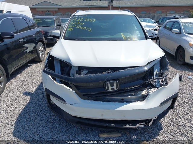 12623353 :رقم المزاد ، 5FNYF6H04LB502072 vin ، 2020 Honda Pilot Black Edition مزاد بيع