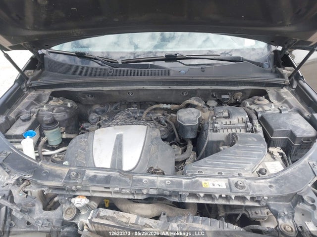 Auction sale of the 2013 Kia Sorento Lx, vin: 5XYKTDA24DG423641, lot number: 12623373