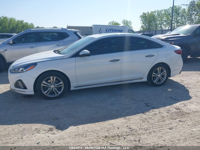 Aukcja sprzedaży 2019 Hyundai Sonata Limited/sel/sport, vin: 5NPE34AF6KH793852, numer aukcji: 12623414