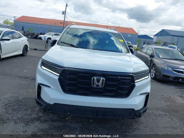 Продаж на аукціоні авто 2023 Honda Pilot Black Edition, vin: 5FNYG1H86PB502828, номер лоту: 12623503