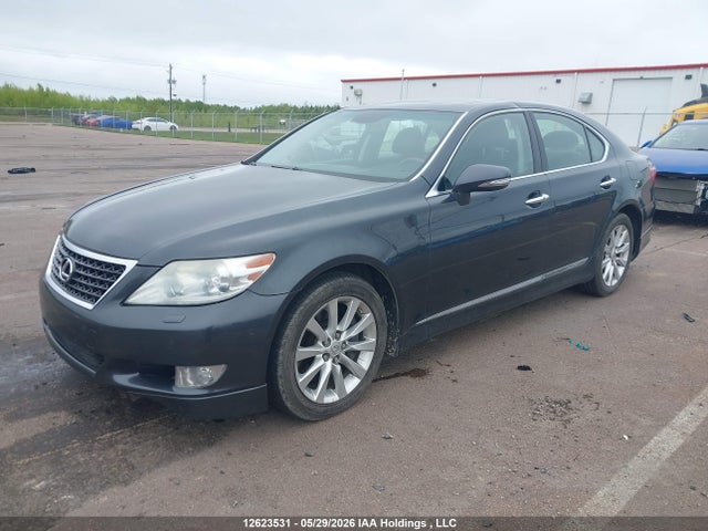 Продаж на аукціоні авто 2011 Lexus Ls 460, vin: JTHCL5EF5B5011546, номер лоту: 12623531