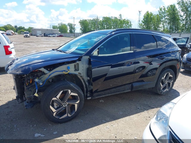 Продаж на аукціоні авто 2022 Hyundai Tucson Ultimate Hybrid Awd, vin: KM8JCCA11NU054911, номер лоту: 12623546