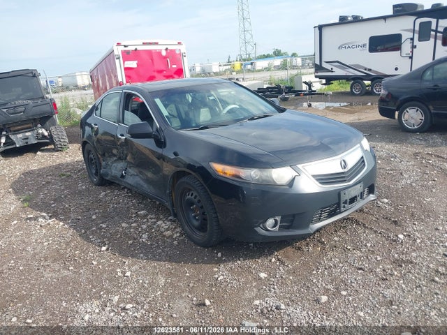 Продаж на аукціоні авто 2013 Acura Tsx, vin: JH4CU2F50DC800736, номер лоту: 12623581