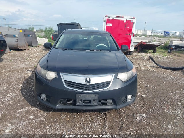 12623581 :رقم المزاد ، JH4CU2F50DC800736 vin ، 2013 Acura Tsx مزاد بيع