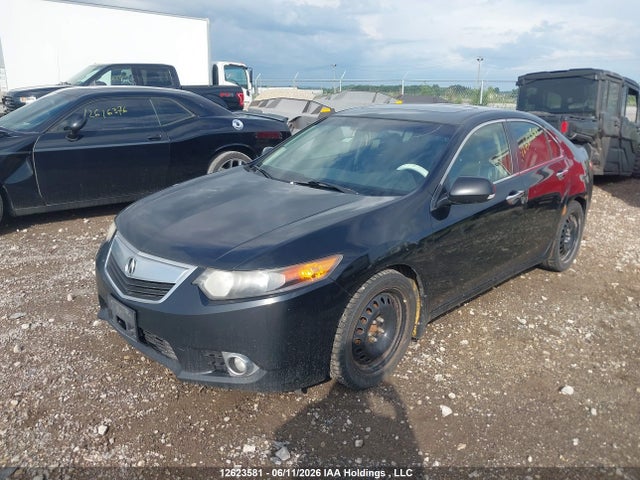 12623581 :رقم المزاد ، JH4CU2F50DC800736 vin ، 2013 Acura Tsx مزاد بيع
