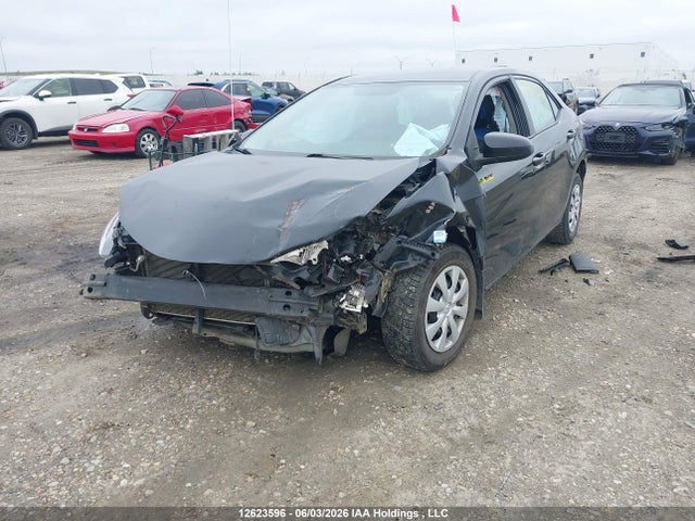 2T1BURHE2GC573080 Toyota Corolla