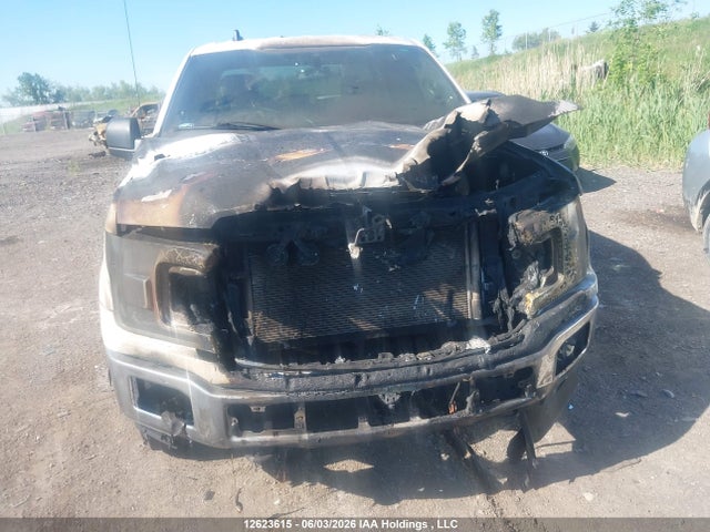 Ford F-150 Xlt 2020 1FTEX1E54LKF13112 Image 16