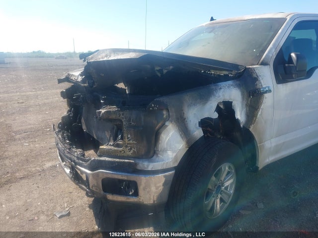 Ford F-150 Xlt 2020 1FTEX1E54LKF13112 Image 6