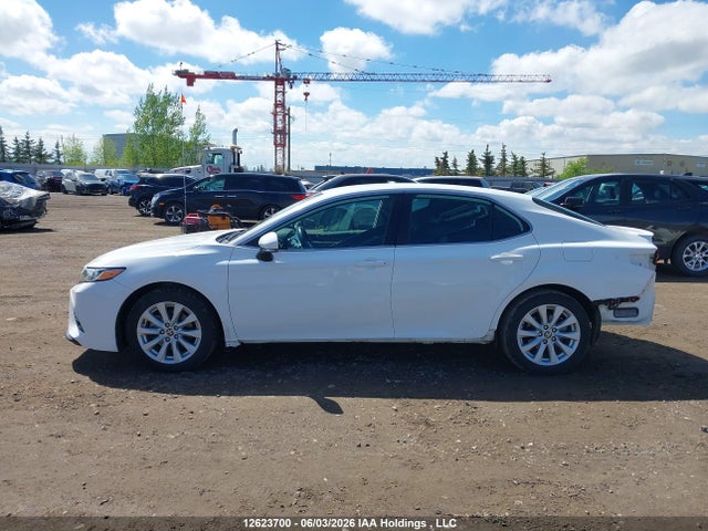 12623700 :رقم المزاد ، 4T1G11AK4LU982769 vin ، 2020 Toyota Camry مزاد بيع