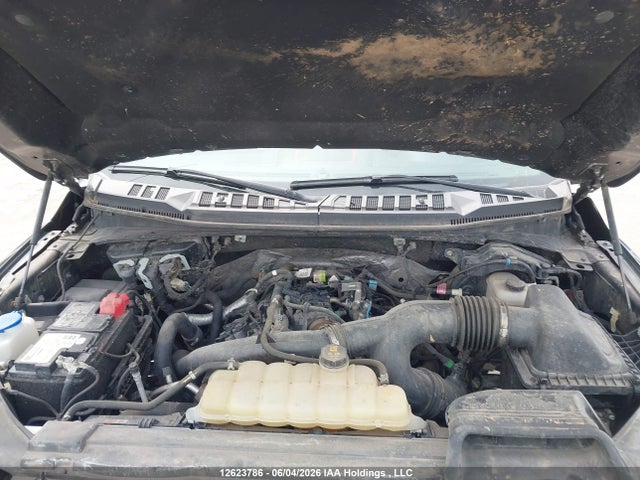 Ford F-150 2019 1FTEW1EP2KFC68693 Image 10