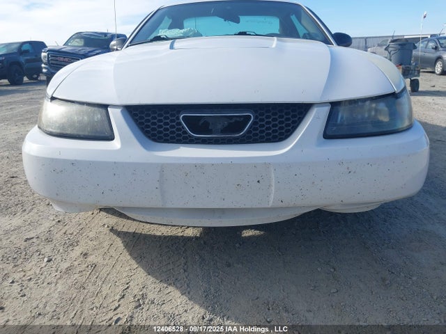 Продажа на аукционе авто 2004 Ford Mustang, vin: 1FAFP40694F164244, номер лота: 12406528