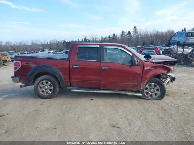 1FTFW1EF6EKE74753 Ford F-150 Xlt