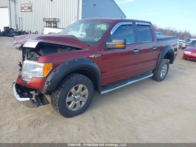 1FTFW1EF6EKE74753 Ford F-150 Xlt