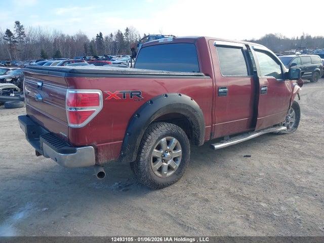 1FTFW1EF6EKE74753 Ford F-150 Xlt