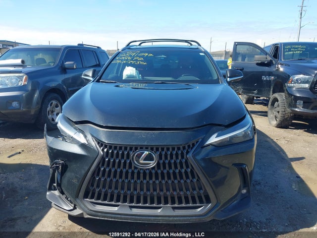 Продаж на аукціоні авто 2024 Lexus Nx 450h+, vin: JTJHKCFZ7R2028672, номер лоту: 12591292