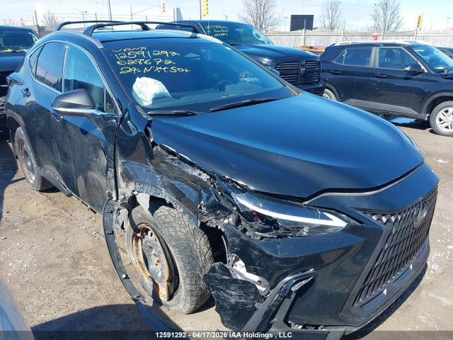 Продаж на аукціоні авто 2024 Lexus Nx 450h+, vin: JTJHKCFZ7R2028672, номер лоту: 12591292