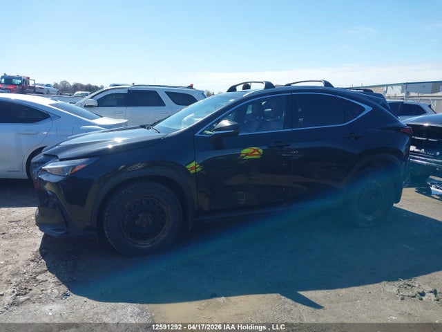 Продаж на аукціоні авто 2024 Lexus Nx 450h+, vin: JTJHKCFZ7R2028672, номер лоту: 12591292