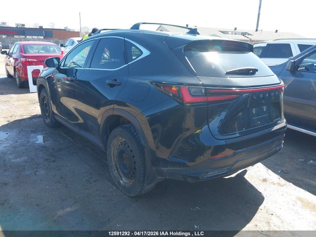 Продаж на аукціоні авто 2024 Lexus Nx 450h+, vin: JTJHKCFZ7R2028672, номер лоту: 12591292