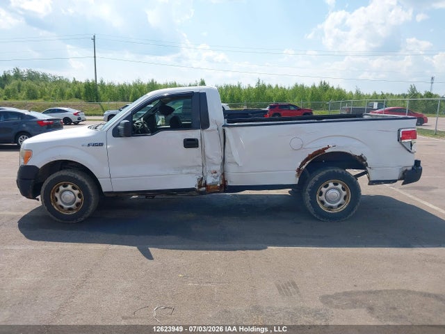 Продаж на аукціоні авто 2010 Ford F150, vin: 1FTPF1CV1AKB12838, номер лоту: 12623949