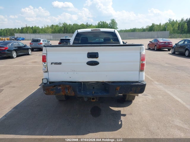 Продаж на аукціоні авто 2010 Ford F150, vin: 1FTPF1CV1AKB12838, номер лоту: 12623949