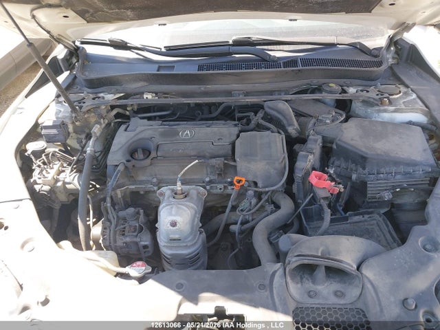 12613066 :رقم المزاد ، 19UUB1F38FA800388 vin ، 2015 Acura Tlx مزاد بيع