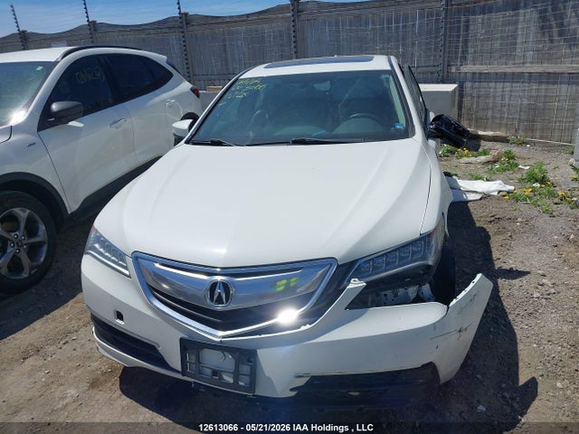 12613066 :رقم المزاد ، 19UUB1F38FA800388 vin ، 2015 Acura Tlx مزاد بيع