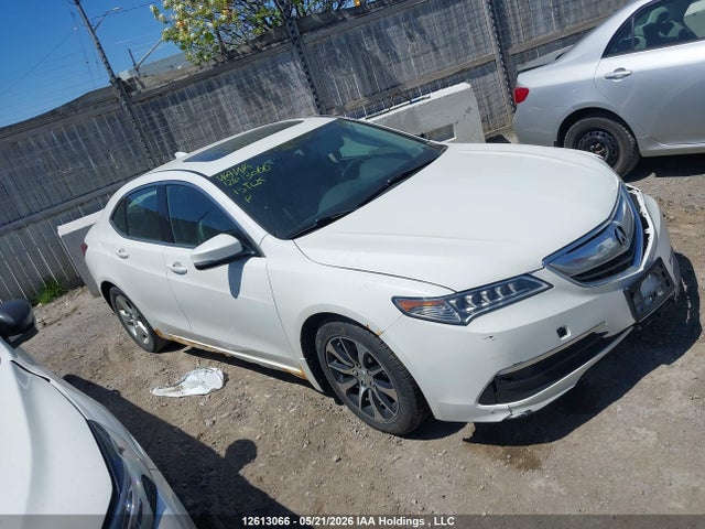 12613066 :رقم المزاد ، 19UUB1F38FA800388 vin ، 2015 Acura Tlx مزاد بيع