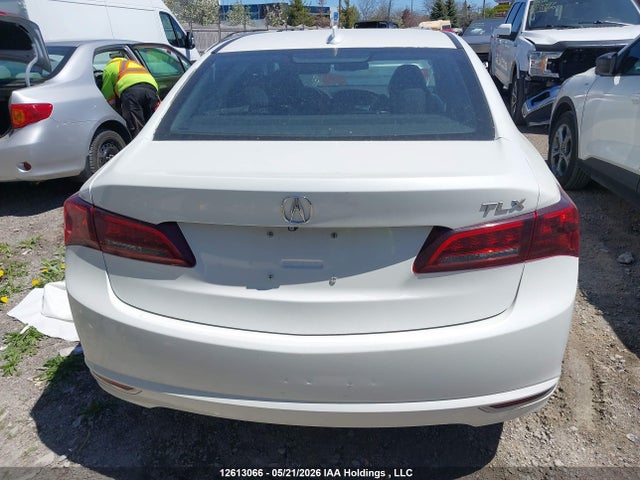12613066 :رقم المزاد ، 19UUB1F38FA800388 vin ، 2015 Acura Tlx مزاد بيع