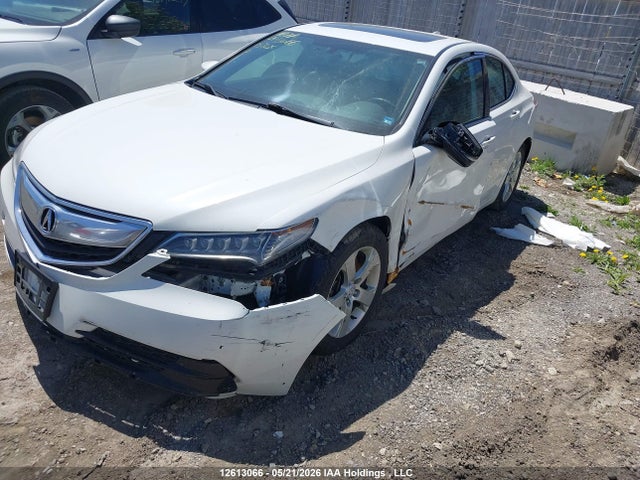 12613066 :رقم المزاد ، 19UUB1F38FA800388 vin ، 2015 Acura Tlx مزاد بيع