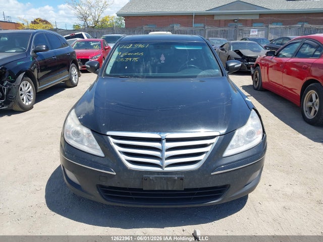 2009 Hyundai Genesis 3.8l მანქანა იყიდება აუქციონზე, vin: KMHGC46E99U053975, აუქციონის ნომერი: 12623961