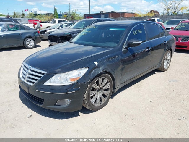 2009 Hyundai Genesis 3.8l მანქანა იყიდება აუქციონზე, vin: KMHGC46E99U053975, აუქციონის ნომერი: 12623961