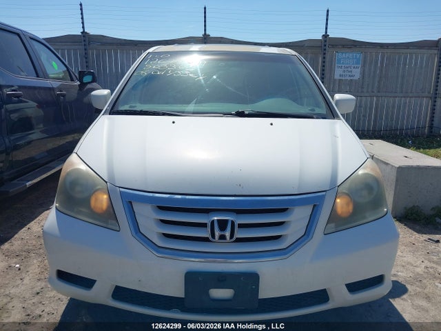 2008 Honda Odyssey Ex-l მანქანა იყიდება აუქციონზე, vin: 5FNRL38638B503303, აუქციონის ნომერი: 12624299