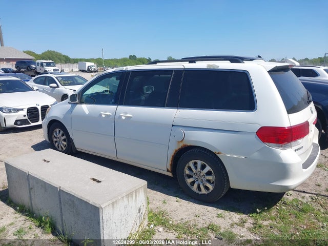2008 Honda Odyssey Ex-l მანქანა იყიდება აუქციონზე, vin: 5FNRL38638B503303, აუქციონის ნომერი: 12624299