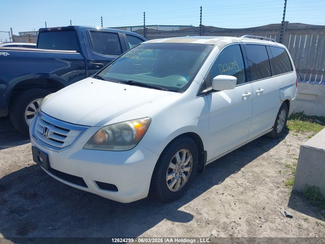 2008 Honda Odyssey Ex-l მანქანა იყიდება აუქციონზე, vin: 5FNRL38638B503303, აუქციონის ნომერი: 12624299