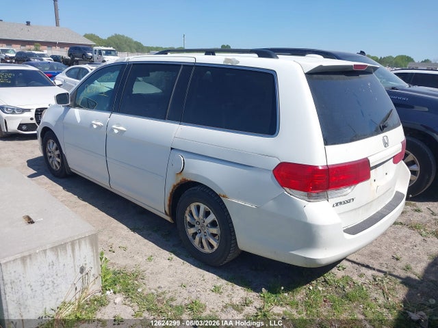 2008 Honda Odyssey Ex-l მანქანა იყიდება აუქციონზე, vin: 5FNRL38638B503303, აუქციონის ნომერი: 12624299