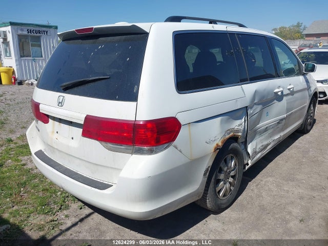 2008 Honda Odyssey Ex-l მანქანა იყიდება აუქციონზე, vin: 5FNRL38638B503303, აუქციონის ნომერი: 12624299