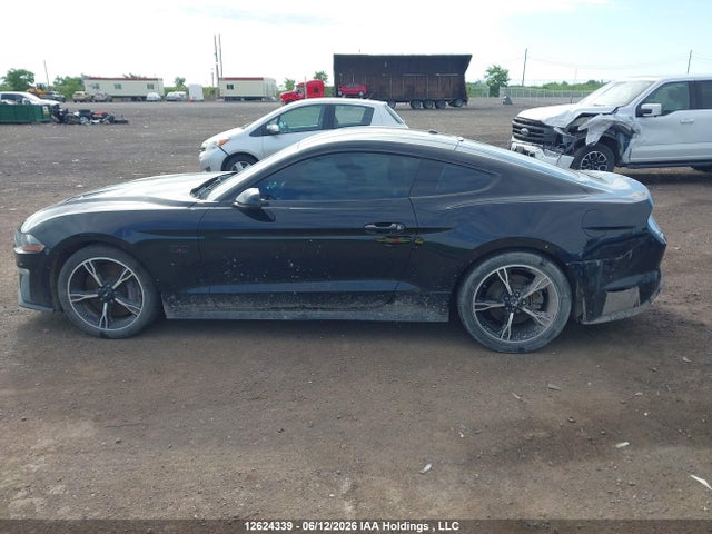 12624339 :رقم المزاد ، 1FA6P8CF6K5102712 vin ، 2019 Ford Mustang Gt Premium مزاد بيع