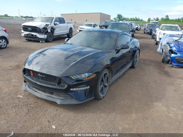 12624339 :رقم المزاد ، 1FA6P8CF6K5102712 vin ، 2019 Ford Mustang Gt Premium مزاد بيع