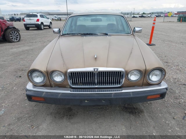 12624516 :رقم المزاد ، SAJAL1245GC432997 vin ، 1986 Jaguar Xj6 مزاد بيع