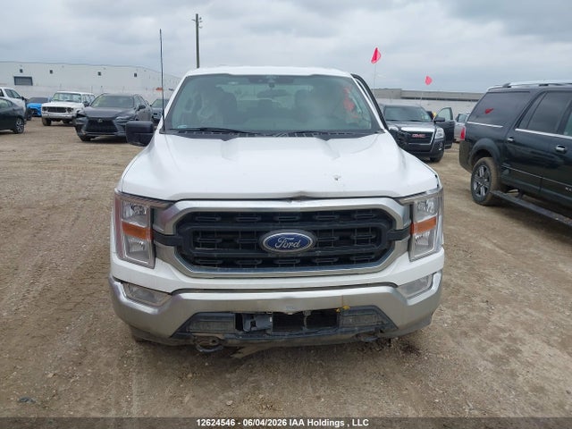 Продаж на аукціоні авто 2021 Ford F150 Supercrew, vin: 1FTFW1E57MKE60205, номер лоту: 12624546