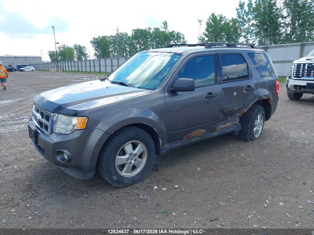 12624637 :رقم المزاد ، 1FMCU0DG9BKC20121 vin ، 2011 Ford Escape مزاد بيع